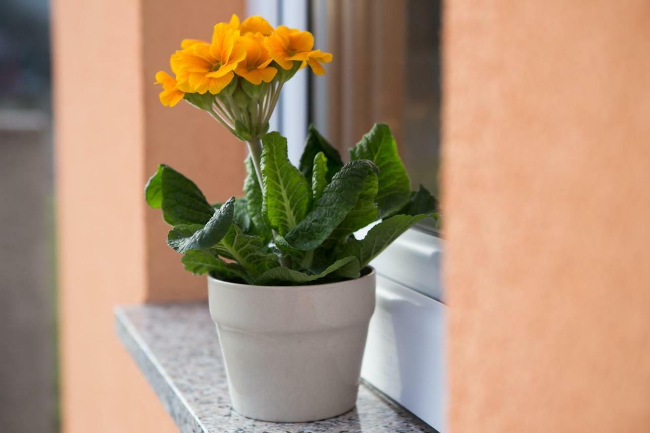 Apartman Urban Nature Otočac Exteriér fotografie